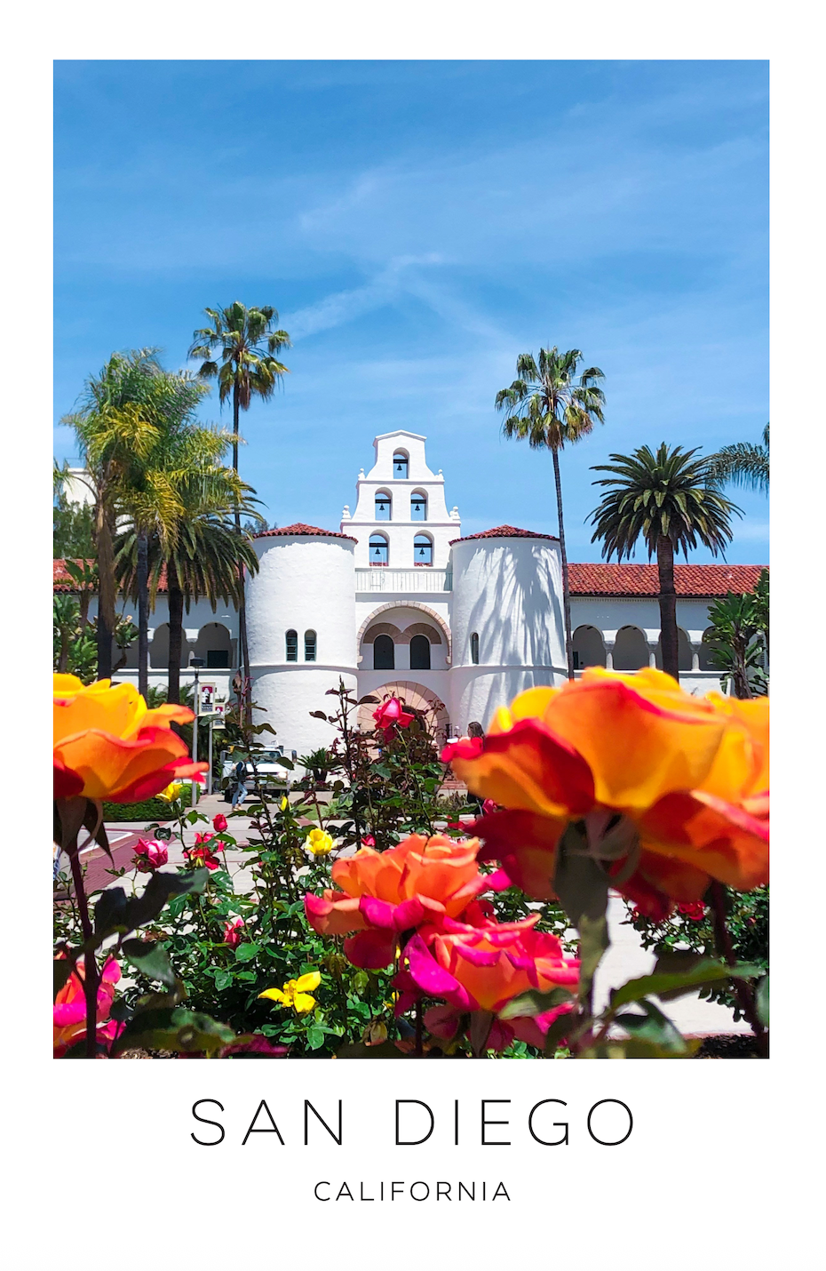 San Diego, California Photo Print - Flowers