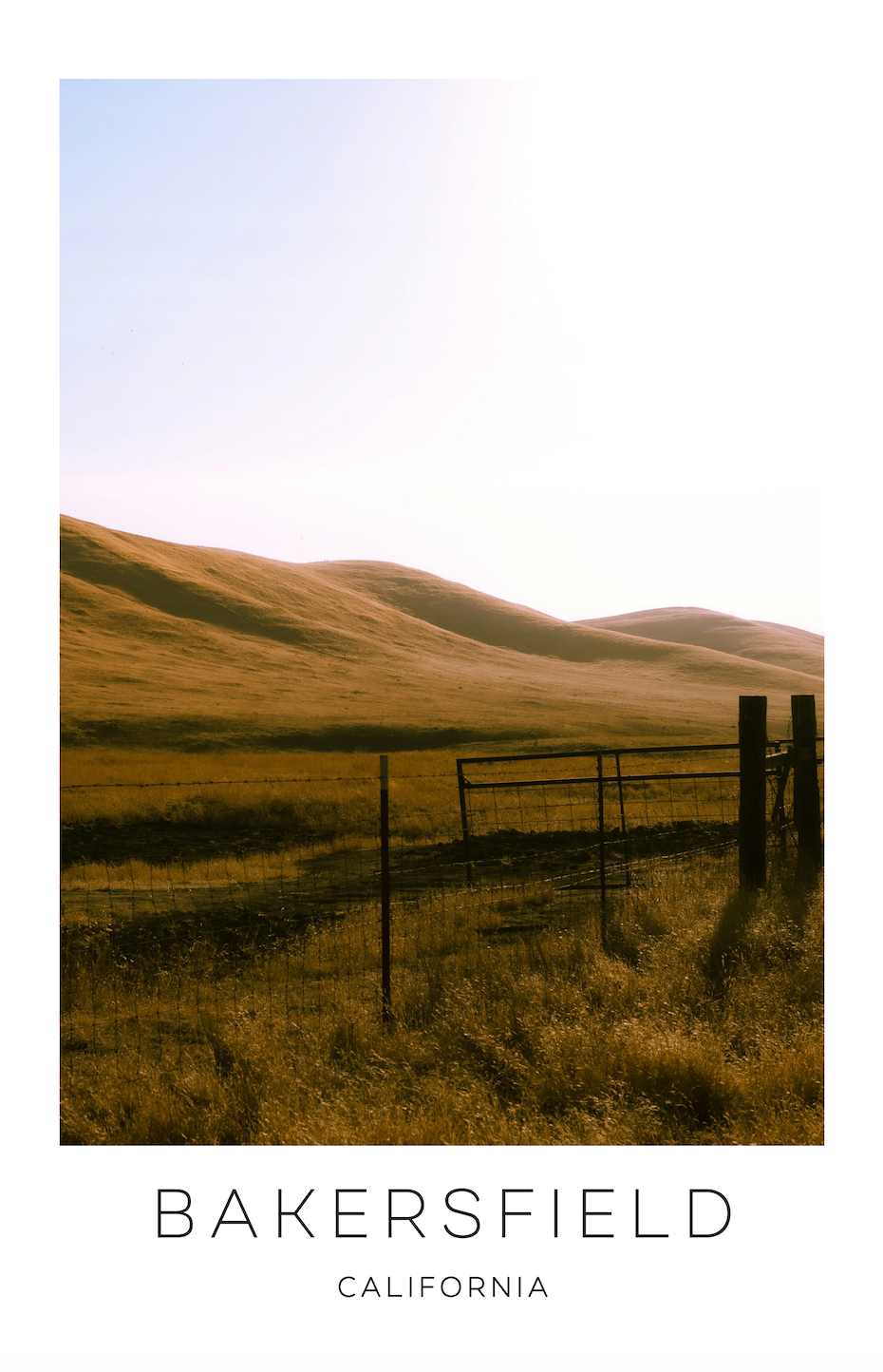 Bakersfield, California Photo Print - Field